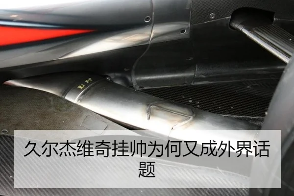 久尔杰维奇挂帅为何又成外界话题